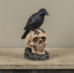 9.5" Raven on Skull Statue