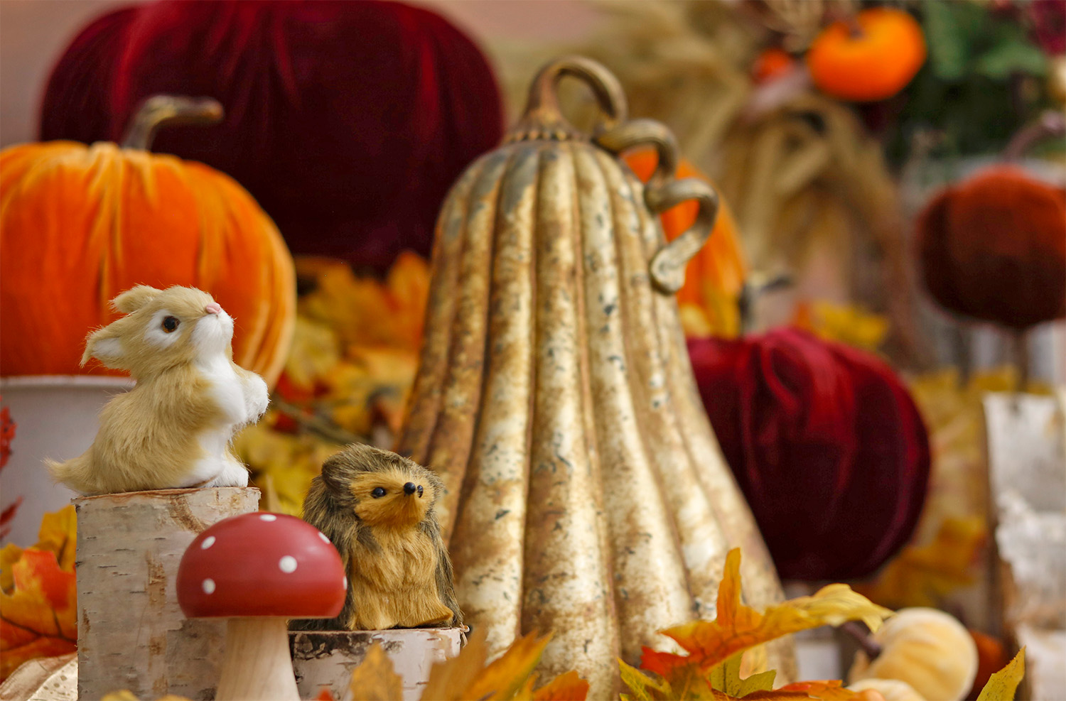 Enchanted Autumn Pumpkins Focal Point