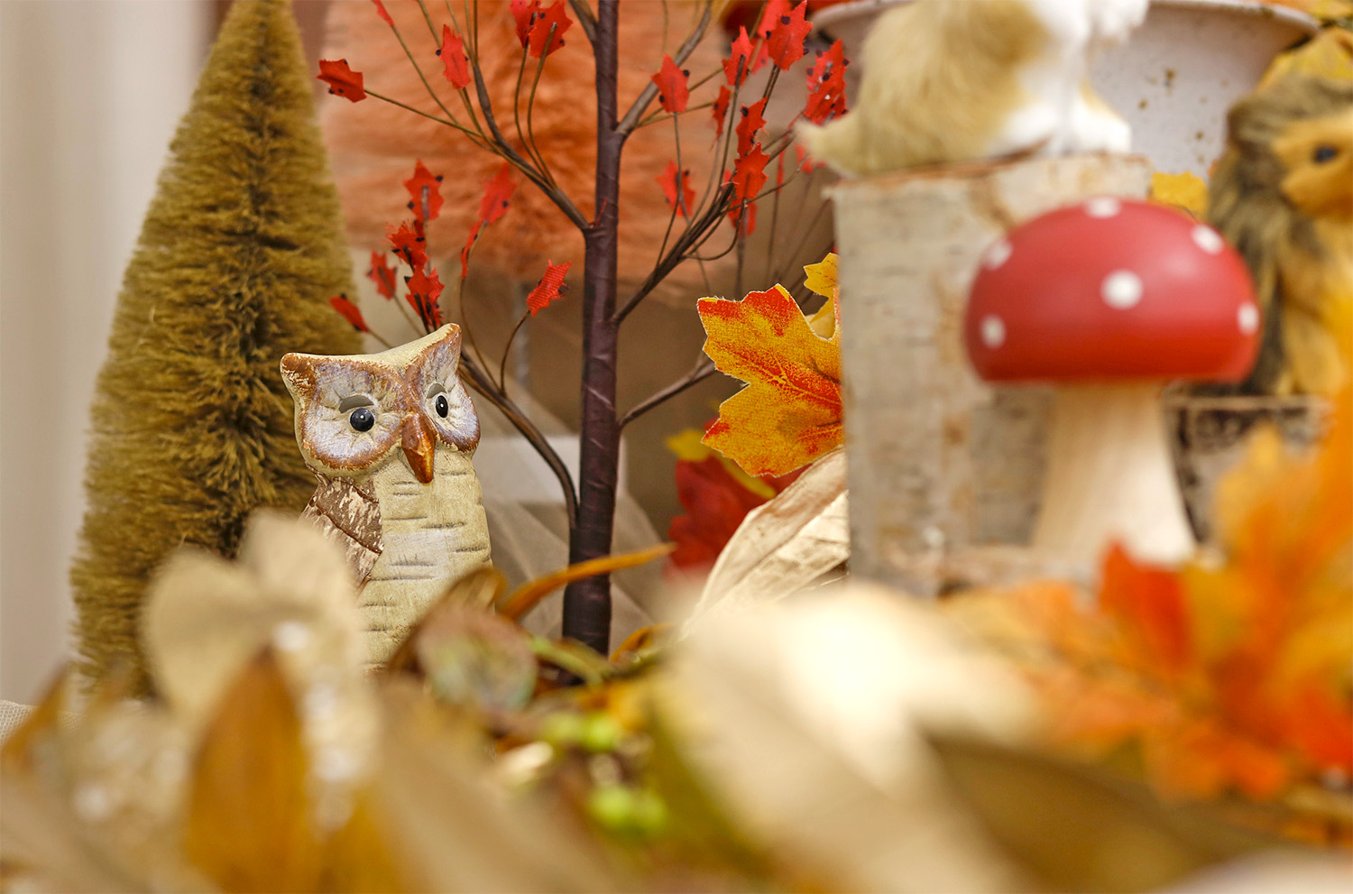 Enchanted Autumn Pumpkins Focal Point
