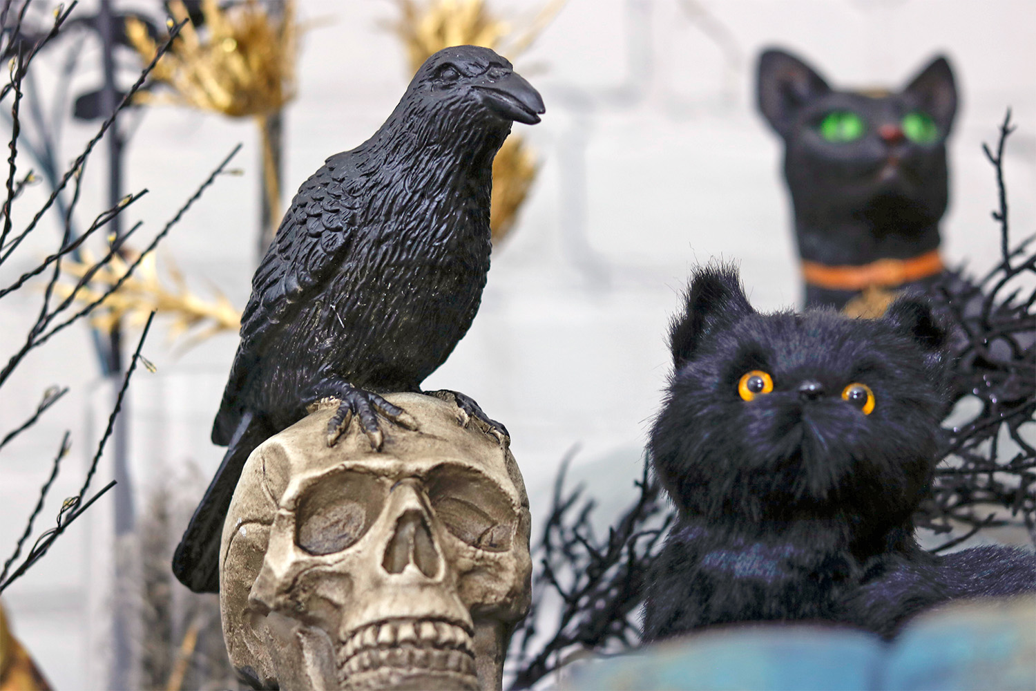 Midnight Mischief Halloween Statement Piece