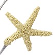 22" Beaded White Starfish Spray - Zoom 