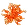 6.5" Glittered Orange Hanging Coral Ball 